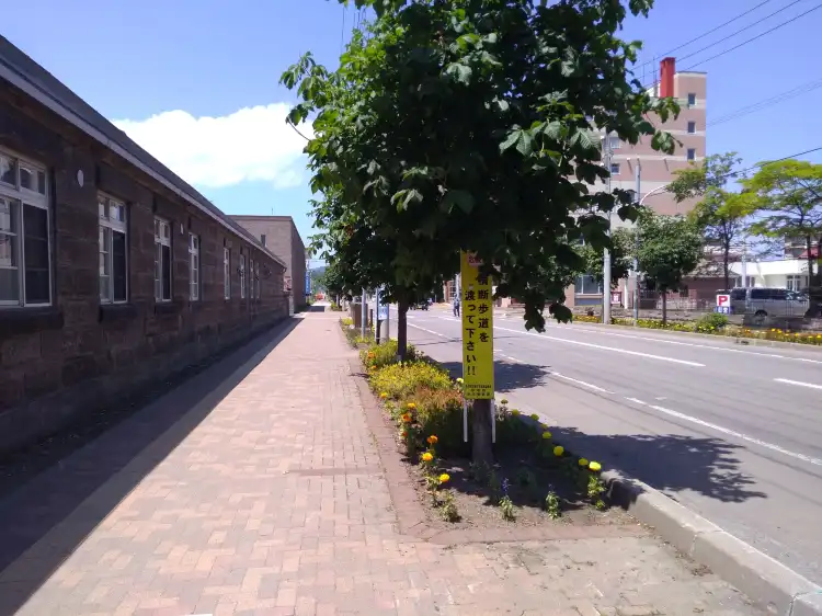 Hotels near Rita Road