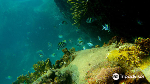 Stormy Pirates Boat Charters