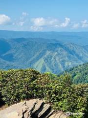 Mount LeConte