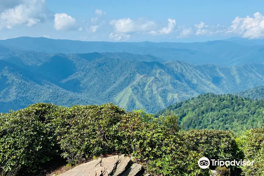 Mount LeConte