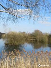 Whisby Nature Park