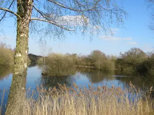 Whisby Nature Park
