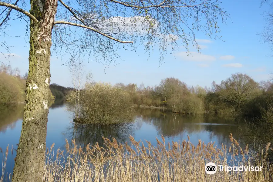 Whisby Nature Park