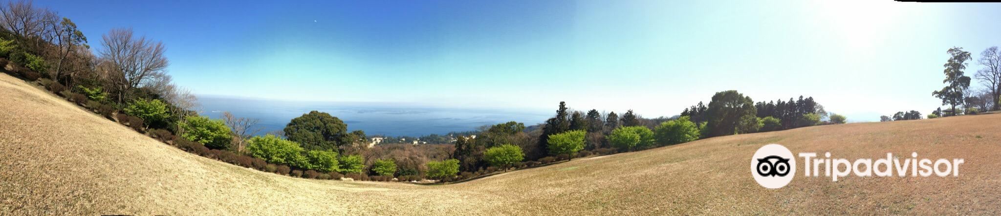 静岡 小室山公園 往復バス＋ケーブルカー Eチケット 予約