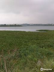 Doddanekundi Lake