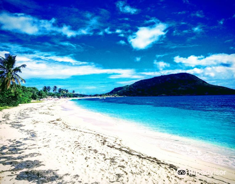 White Plains to Saint Kitts Flights