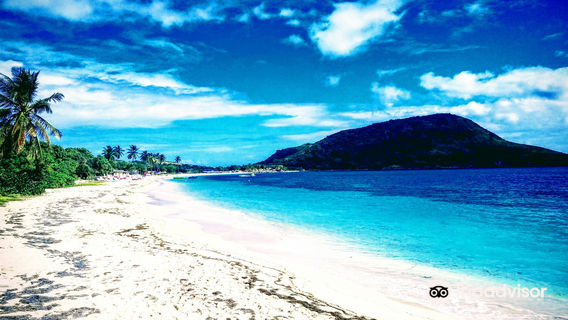 St.Kitts Water Sports Center