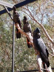 Kaarakin Black Cockatoo Conservation Centre