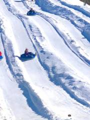 Rowdy Bear's Smoky Mountain Snowpark - Pigeon Forge