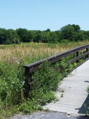 Three Rivers Wildlife Management Area