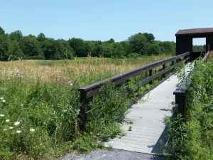 Three Rivers Wildlife Management Area