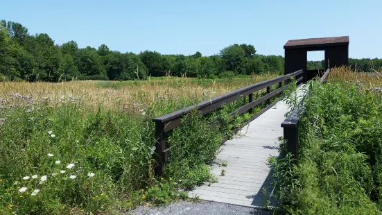 Three Rivers Wildlife Management Area