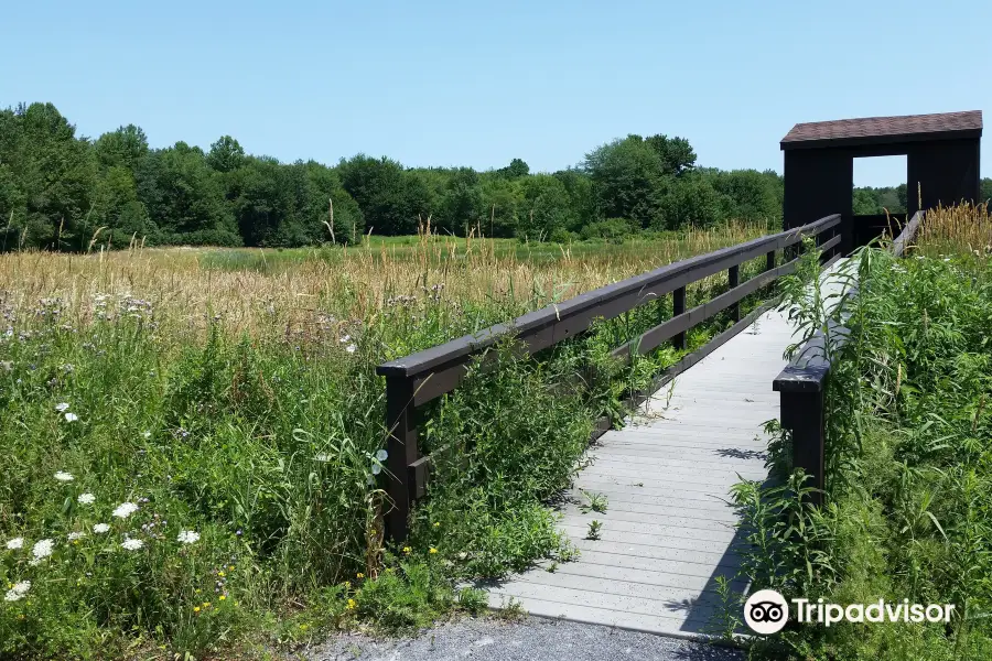 Three Rivers Wildlife Management Area