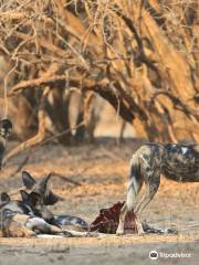 Camping Sites at Mana Pools National Park