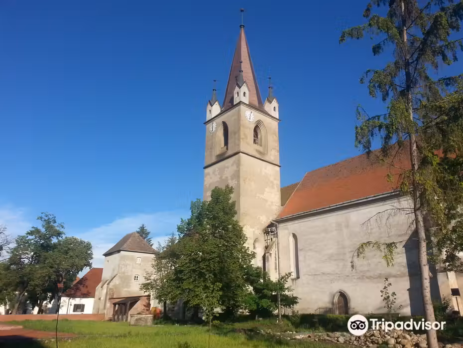 Flüge ${{cityDName}} Târgu Mureș