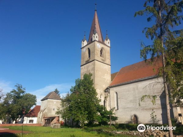 Tirgu Mures