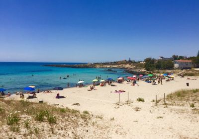 Spiaggia di Montedarena