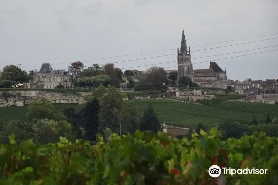 Château Franc Patarabet