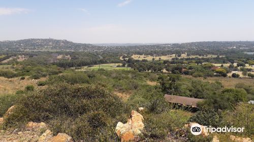 Melville Koppies Nature Reserve