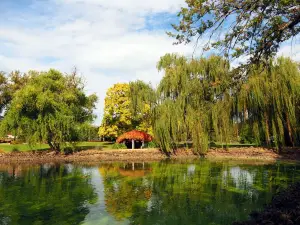 Castlemaine Botanical Gardens