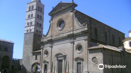 Cattedrale di San Lorenzo