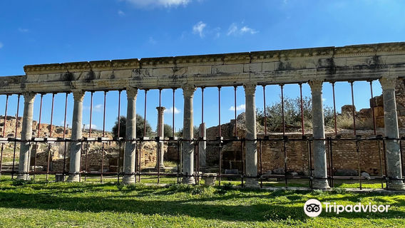 The Archaeological Site of Thuburbo Majus
