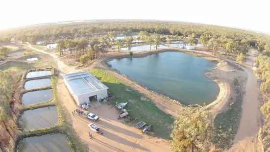 Narrabri Fish Farm