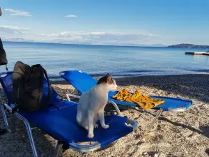 Moraitika Beach