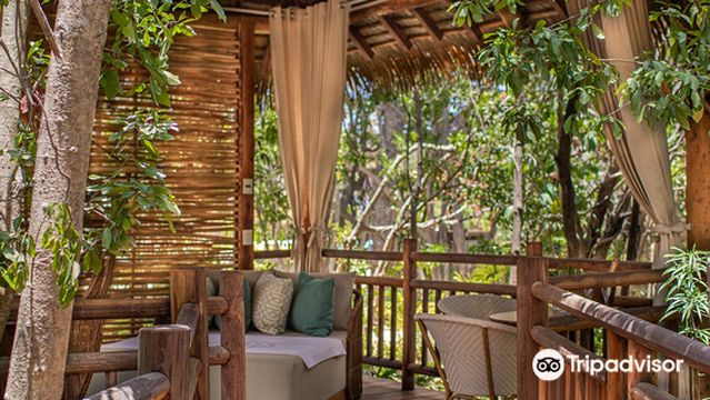 Jungala Aqua Experience