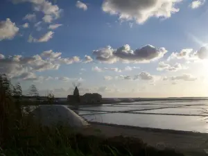 Saline of the Laguna Marsala