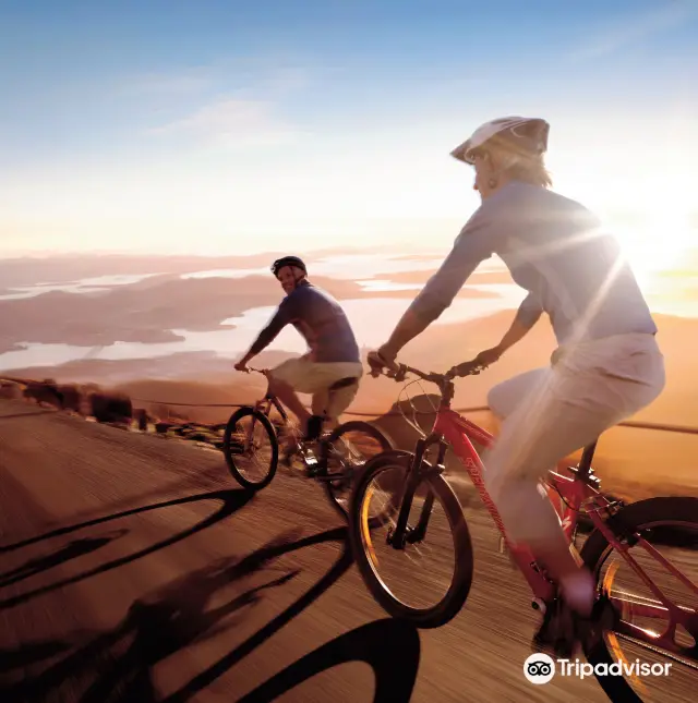Cycling in Hobart