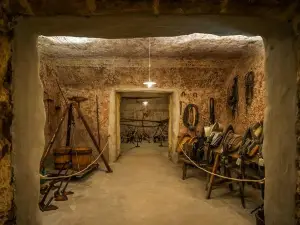 Museo della Civiltà del Vino Primitivo