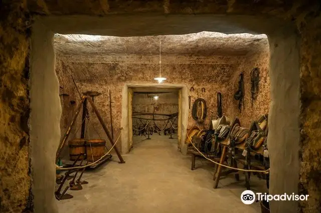 The Museum of Primitivo Wine