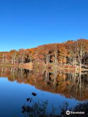 Harriman State Park