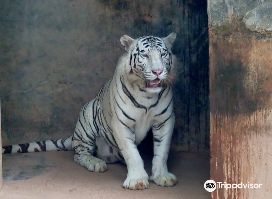 3_Colombo Dehiwala Zoological Gardens