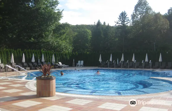 朵蘭耶斯科拓普利斯