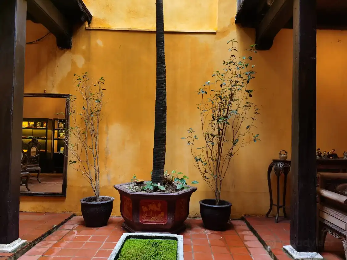 Hotel in zona Casa antica
