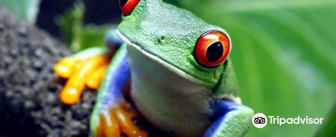 塞維爾維爾特色體驗