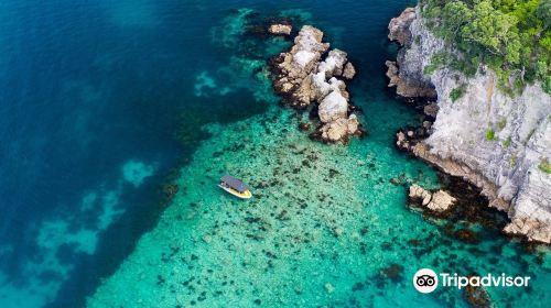 Ocean Leopard Tours Cathedral Cove Boat Tour