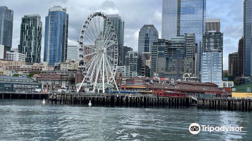 Salish Sea Tours