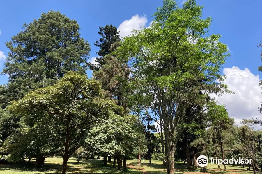 Ngong Road Forest Sanctuary