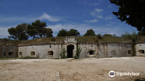 Fort Punta Christo