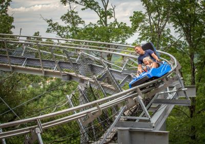 Runaway Mountain Coaster & Flyaway Ziplines at Branson Mountain Adventure