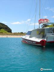 Carino Wildlife Cruises