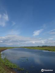 National Park "Warta Mouth"