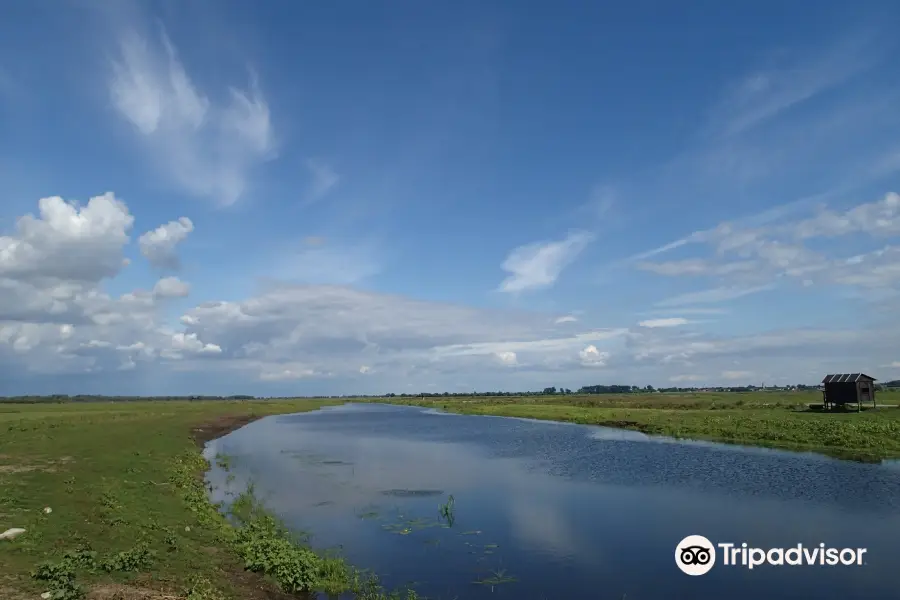 National Park "Warta Mouth"