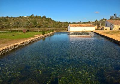 Municipal Park of the Springs