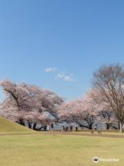 Yashiro Furusato Park