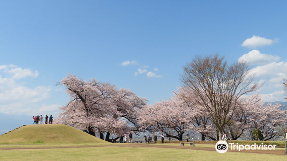 Fuefuki City Yatsushiro Furusato Park