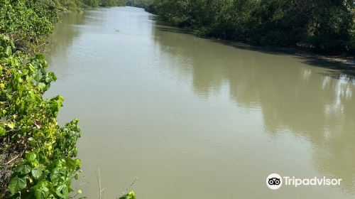 Mangrove Wonorejo Ecotourism